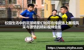 EuroMillions2025年荷兰中奖者人数创新高