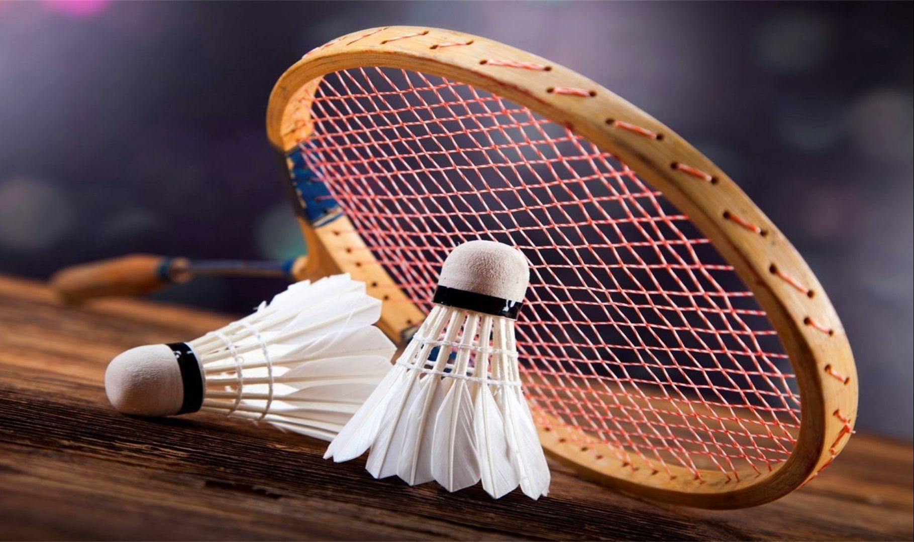 引发了不少 引发了不少